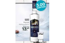 sambuca blanco