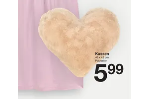 Kussen