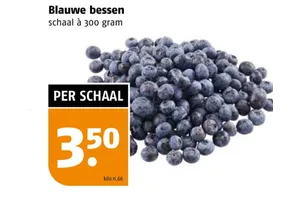 Blauwe bessen