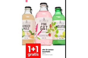 Sir James 101 Mojito Mocktail