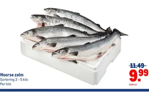 Noorse zalm
