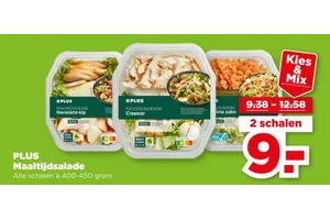 PLUS Maaltijdsalade