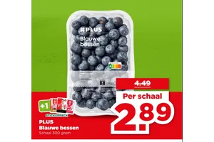 PLUS Blauwe bessen