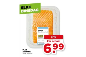 PLUS Zalmfilet