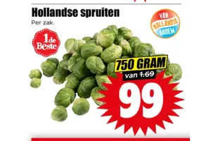 Hollandse spruiten