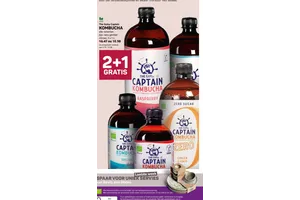 The Gutsy Captain Kombucha