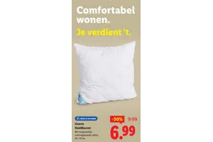 Livarno Hoofdkussen