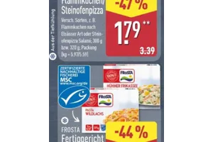 Flammkuchen oder Steinofenpizza