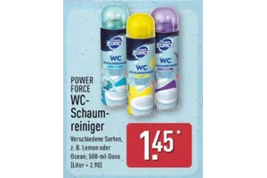 Power Force WC-Schaumreiniger