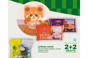 Spring Home Mini Rice Balls