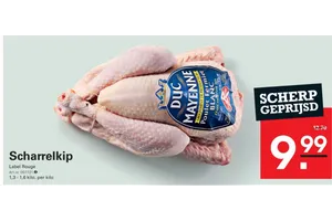 Duc de Mayenne Scharrelkip