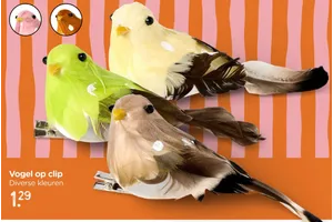 Vogel op clip