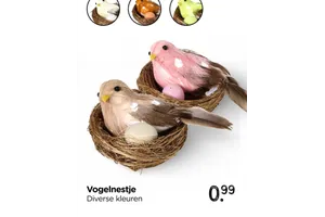 Vogelnestje