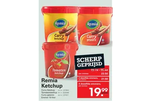 Remia Curry Ketchup