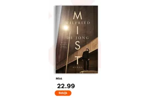 WILFRIED DE JONG Mist