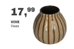 VIVE Vaas