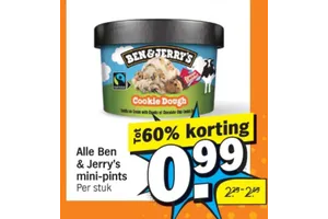 Ben & Jerry's mini-pints
