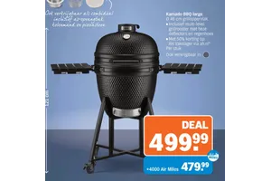 Kamado BBQ large
