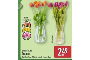 GARDENLINE Tulpen