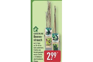 Gardenline Beerenstrauch