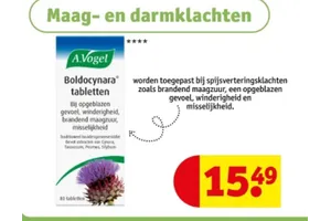 A. Vogel Boldocynara tabletten