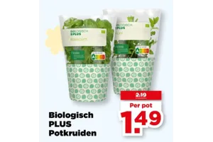 Biologisch PLUS Basilicum
