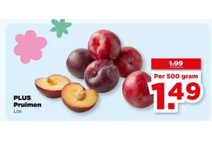 PLUS Pruimen