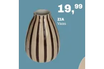 vaas