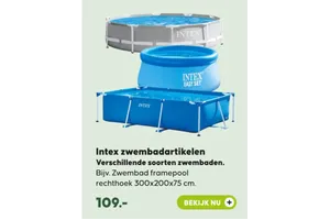Intex Zwembad