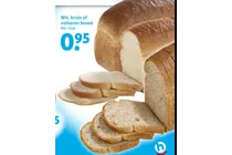brood