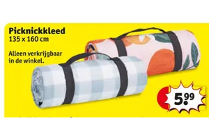 Picknickkleed