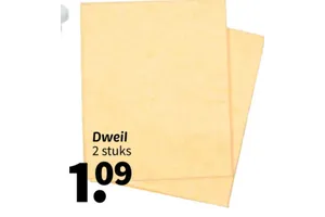 Dweil