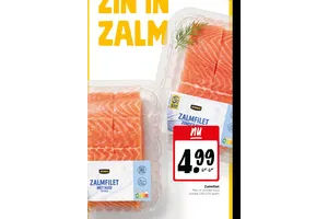 Jumbo Zalmfilet
