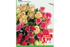 Rozen