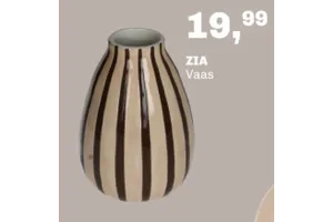 ZIA Vaas