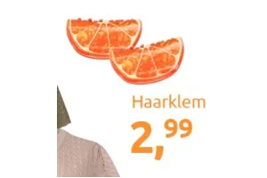 Haarklem