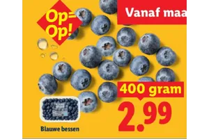 Blauwe bessen