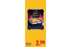INSTANT Barbecue Wegwerpbarbecue