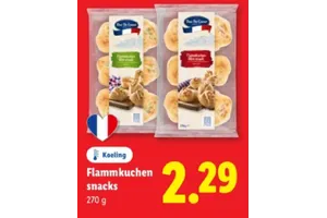 Flammkuchen snacks