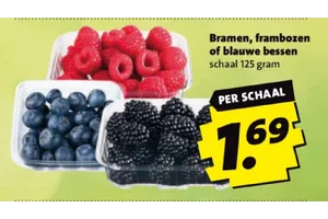 Bessen