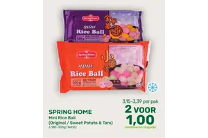 Spring Home Mini Rice Ball