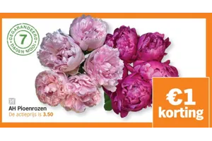 AH Pioenrozen