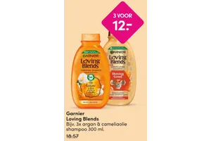 Garnier shampoo