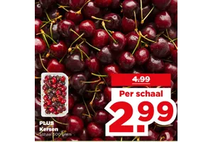 PLUS Kersen