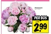 pioenrozen