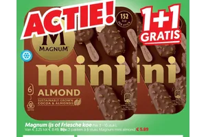 Magnum Mini Almond