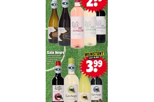 Gato Negro Wijn