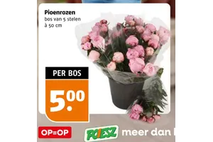 Pioenrozen