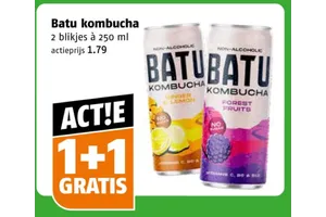 Batu Kombucha