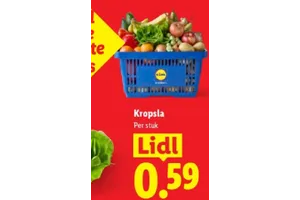 Lidl Kropsla